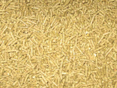 Tradition_Pellets.JPG (72278 bytes)