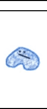 Amoeba Dance! (2)
