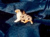 Australian Shepherd Pendant
