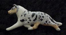 Blue Merle Smooth Collie