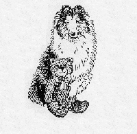 Beary Sweet