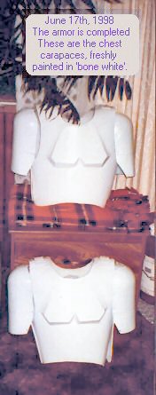 The complete chest carapaces, displayed for photographing
