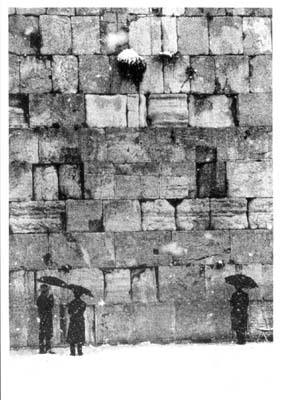 Sandu and Dinu Mendrea at The Kotel