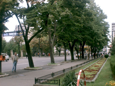 str. Stefan cel Mare