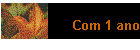 Com 1 ano
