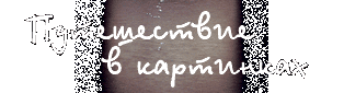    - The Picture Journey - La Viaggio tra le Immagini
