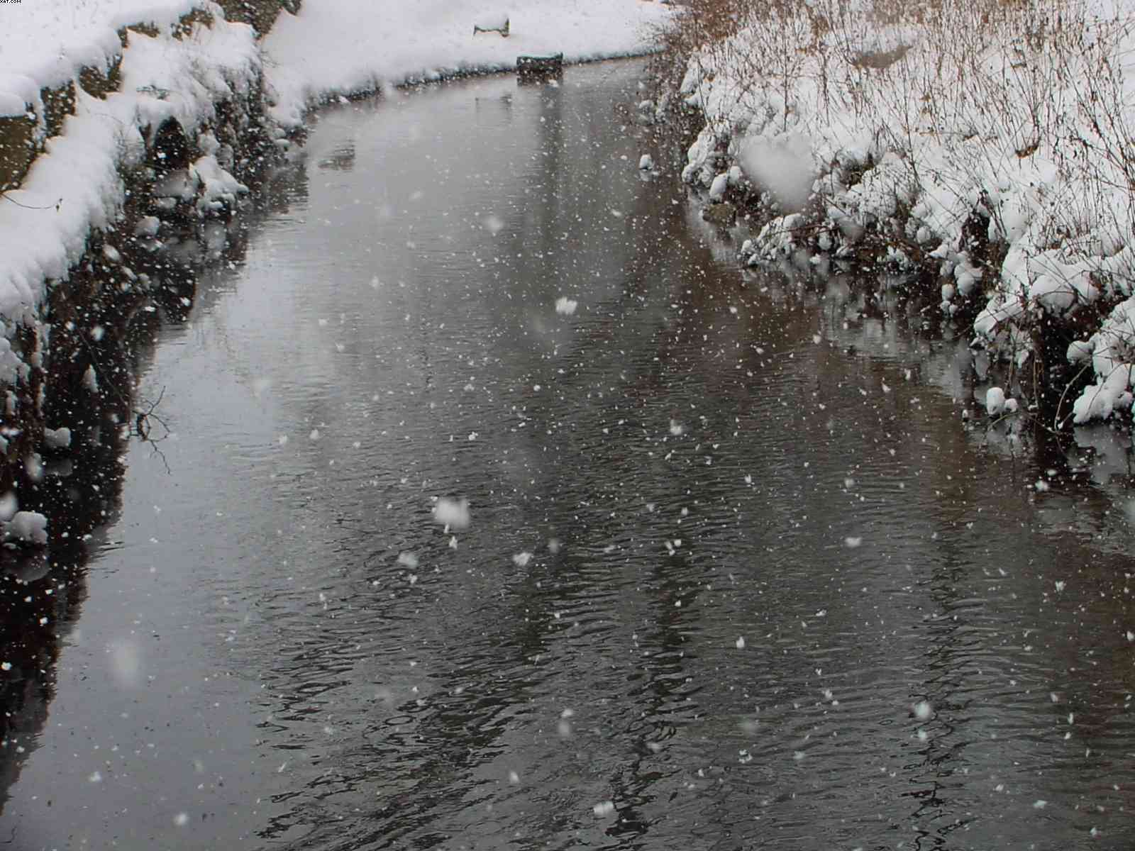 Snowy Creek 1, photograph by Bobby Morgan.  Click for a larger view.