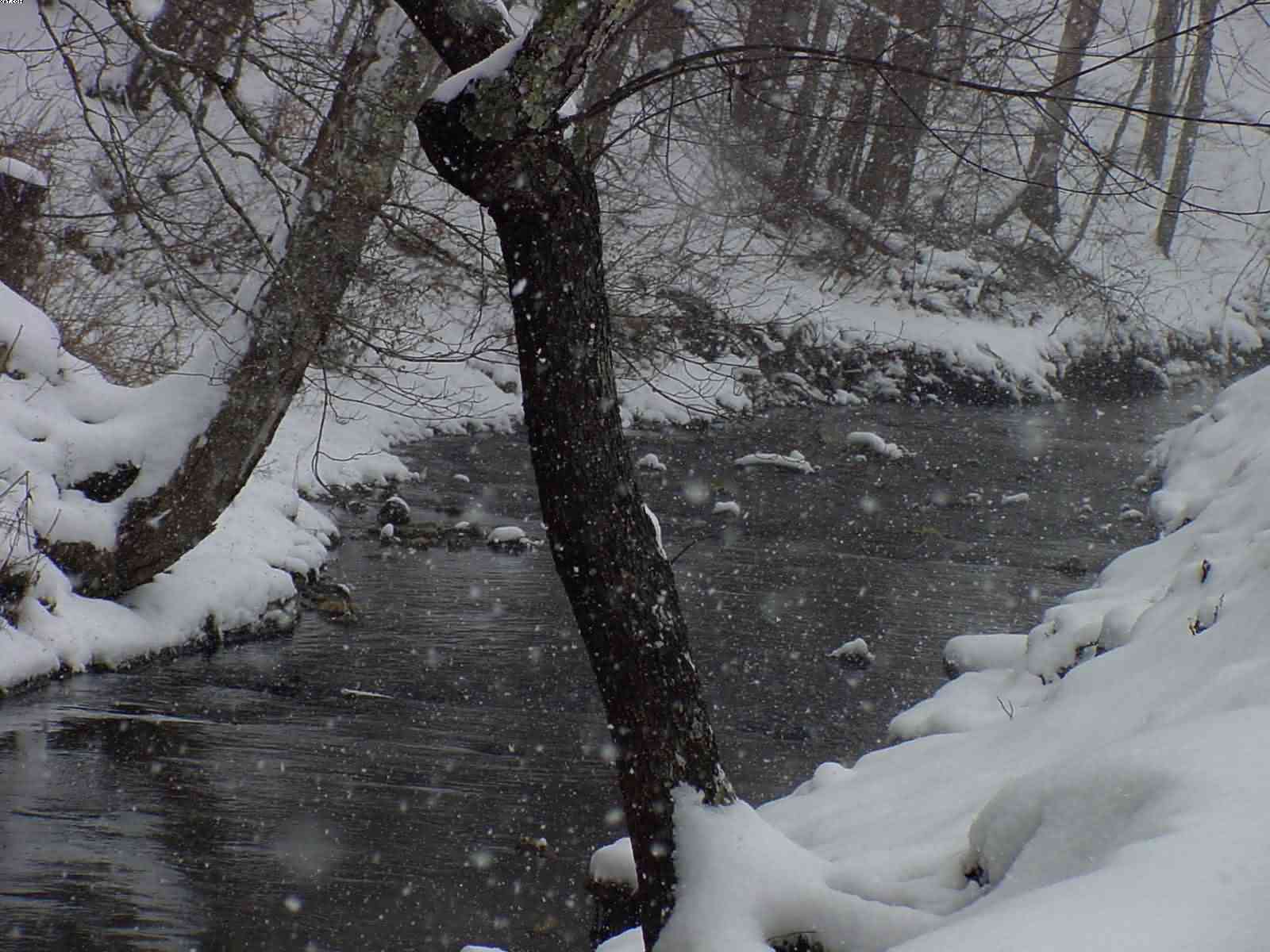 Snowy Creek 2, photograph by Bobby Morgan.  Click for a larger view.