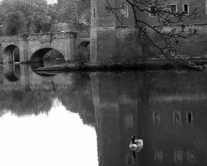 goose_moat 12