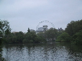 eye