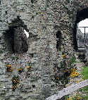 Pevensey