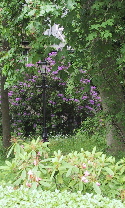 lampost