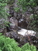 Nevis