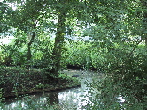 park
