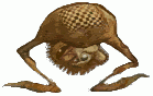 Goblin by Brian Froud