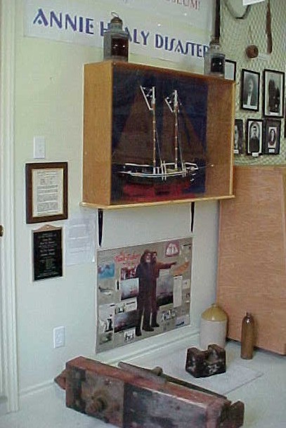 Annie Healy Display