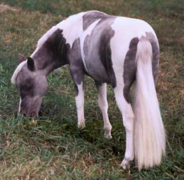 Picture of Fox Lane Farm