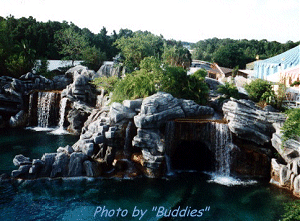 Waterfall, Walt Disney World, Florida, Road Trip, Travel, Vacation