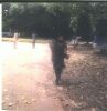 Pict0003.jpg