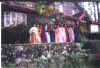 Pict0013.jpg