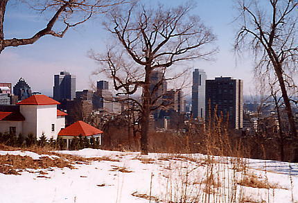 Montreal from the Royal Mount