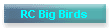 RC Big Birds