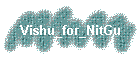 Vishu_for_NitGu