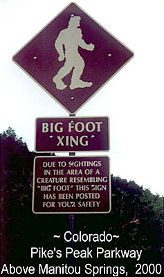 Bigfoot Sign