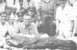2nd Coelacanth Ever Caught