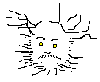 click to exit