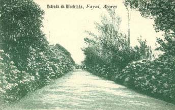 Estrada da Ribeirinha