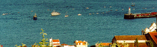 Cortejo dos Mar�timos