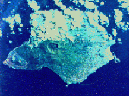 Imagem de sat�lite da Ilha do Faial