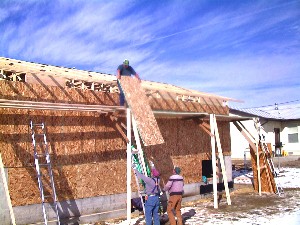Sheeting East Roof
