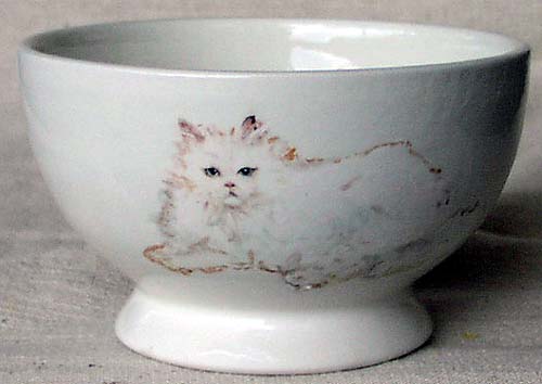 Cat Bowl
