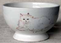 Cat Bowl