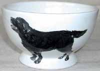 Dog Bowl