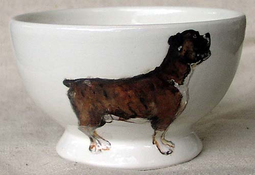 Dog Bowl
