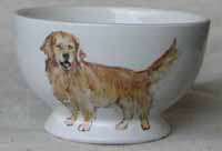 Dog Bowl