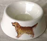 Dog Dish