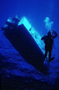 decend into the deep blue at Turneffe Elbow / foto by Hans-Joerg Lange