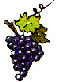Wine Grape