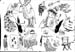 image-29