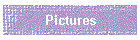 Pictures