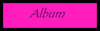 /user/Album.jpg
