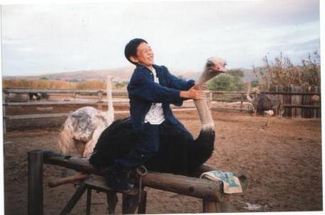 /user/ham-ostrich.jpg