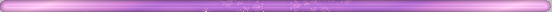 lavender bar