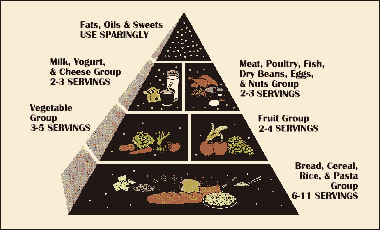 Food Guide Pyramid