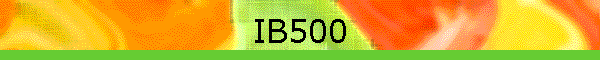 IB500