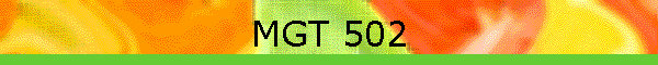 MGT 502